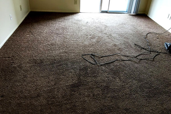 Move-Out Cleaning